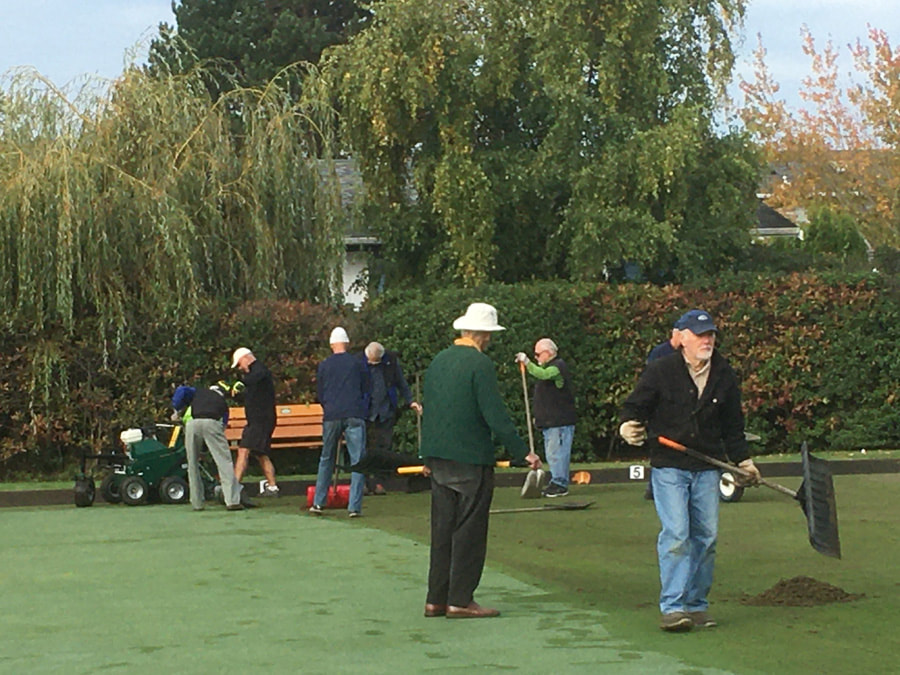 Sidney Lawn Bowling Club  - Taking care of the green.